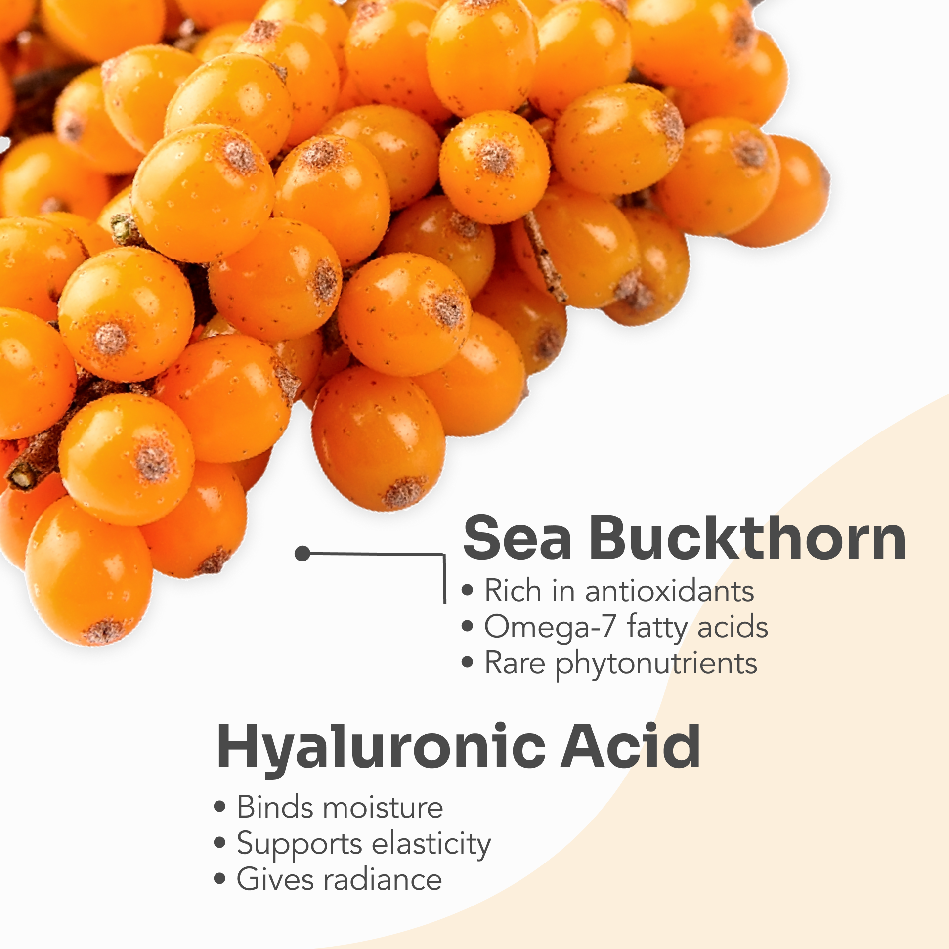 Dr.Stine Collagen with Sea Buckthorn
